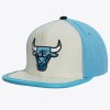 Pánska šiltovka Chicago Bulls Day One Snapback NBA