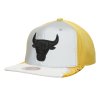 Pánska šiltovka Chicago Bulls Day 5 Snapback