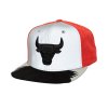 Pánská kšiltovka Chicago Bulls NBA Day 5 Snapback