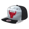 Pánská kšiltovka Chicago Bulls NBA Day 5 Snapback