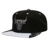Pánská kšiltovka Chicago Bulls NBA Day 5 Snapback