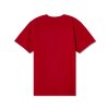 Pánske tričko CCM Athleisure Tee Red Rodeo