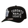 134561 panska ksiltovka toronto maple leafs nhl busted pro snapback