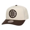 Pánska šiltovka Boston Bruins NHL Fashion Basic 2T Pro Snapback
