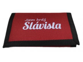 slavistaR