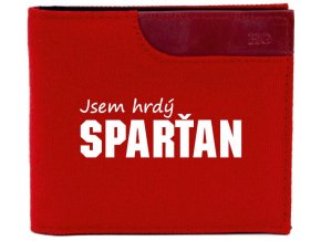 spartan Elegant