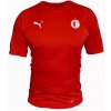 Pánské tričko Puma Final Training Slavia XXL (Velikost XXL)