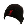 221302 cepice zimni liverpool fc[1]
