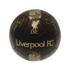 154826 mic velikost 5 liverpool fc[1]