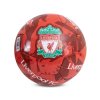 221689 mic velikost 5 liverpool fc[1]