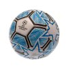 154820 mic velikost 5 uefa champions[1]