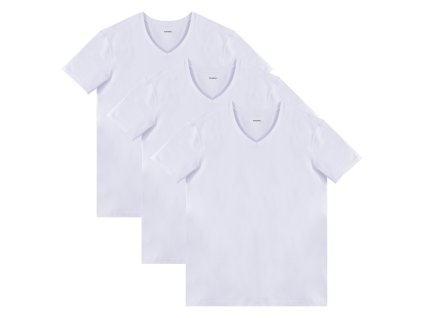 Pánská trička V-neck výstřih FTV001 3ks v balení