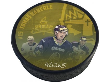 8ee63cd4eae0e4ab6f5e5e055edd3fce