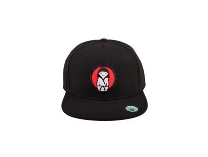 802002 Jer53y Snapback čepice