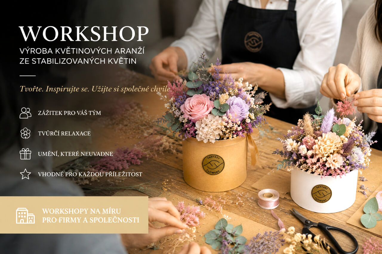 Workshopy