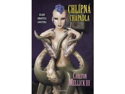 chlipna chapadla