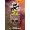 rok potopy