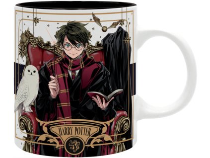 HARRY POTTER - Hrnček - 320 ml - Harry & Draco - subli