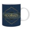 16534 hrnek harry potter hogwarts legacy logo