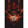 16576 plakat the flash movie speed force