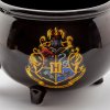 harry potter mug 3d cauldron x2 (2)