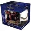 HARRY POTTER - Hrnček - 320 ml - Harry & Draco - subli