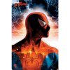 plakat spiderman protector of the city01
