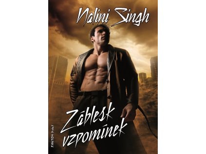 záblesk vzpomínek singh[1]