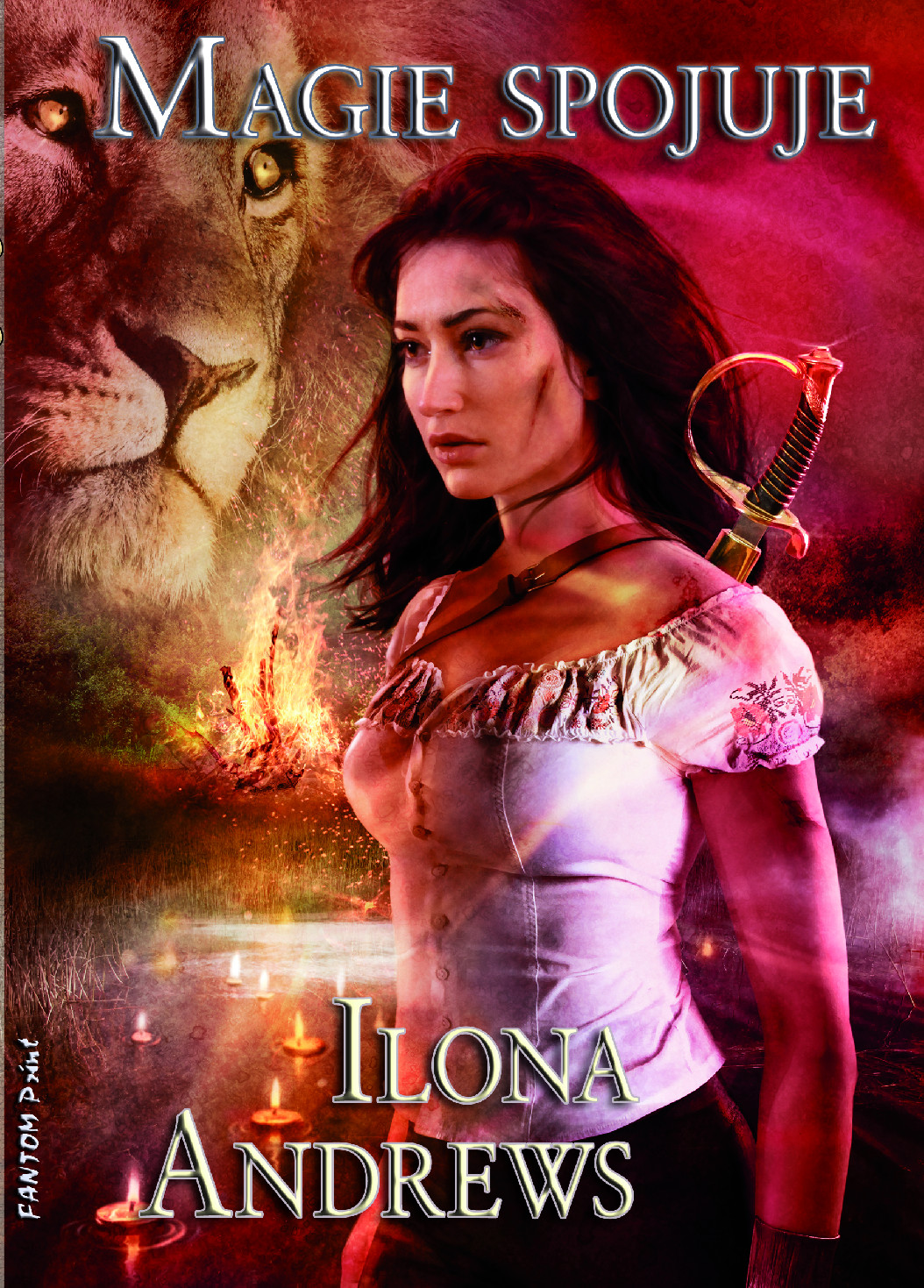 Levně Andrews Ilona Kate Daniels 9 - Magie spojuje