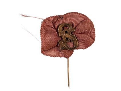 Odznak Sokolský s rozetkou III