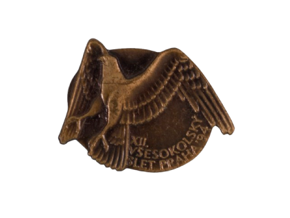 Odznak XII. slet 94