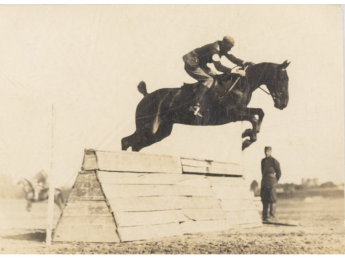 Dobová fotografie, valach Cromwell, 1926 (1)