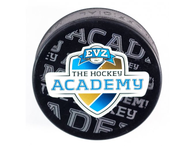 Puk EVZ, The Hockey Academy