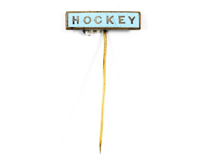 Odznak smalt, Hockey