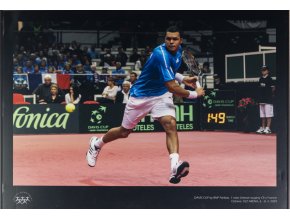 Velkoformátová fotografie, J.W. Tsonga, Davis Cup Ostrava, 2009