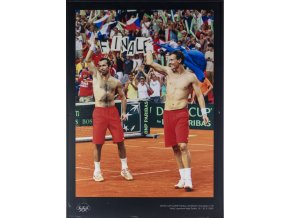 Velkoformátová fotografie, R. Štěpánek, T. Berdych, SF Davis Cup, 2009