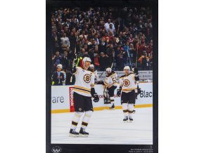Velkoformátová fotografie, NHL Prague Premiere, 2010,Boston Bruins, Z. Chara