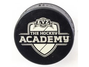 Puk EVZ, The Hockey Academy II
