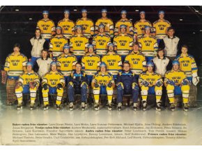 Pohlednice velká, hokejový tým Sverige, autogramy (1)