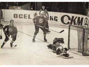 Fotografie hokej, momentka z utkání Sparty