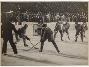 Fotografie momentka z hokejového utkání v Moskvě II