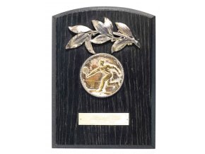Trofej, medaile na dřevěné desce, tennis, 1934