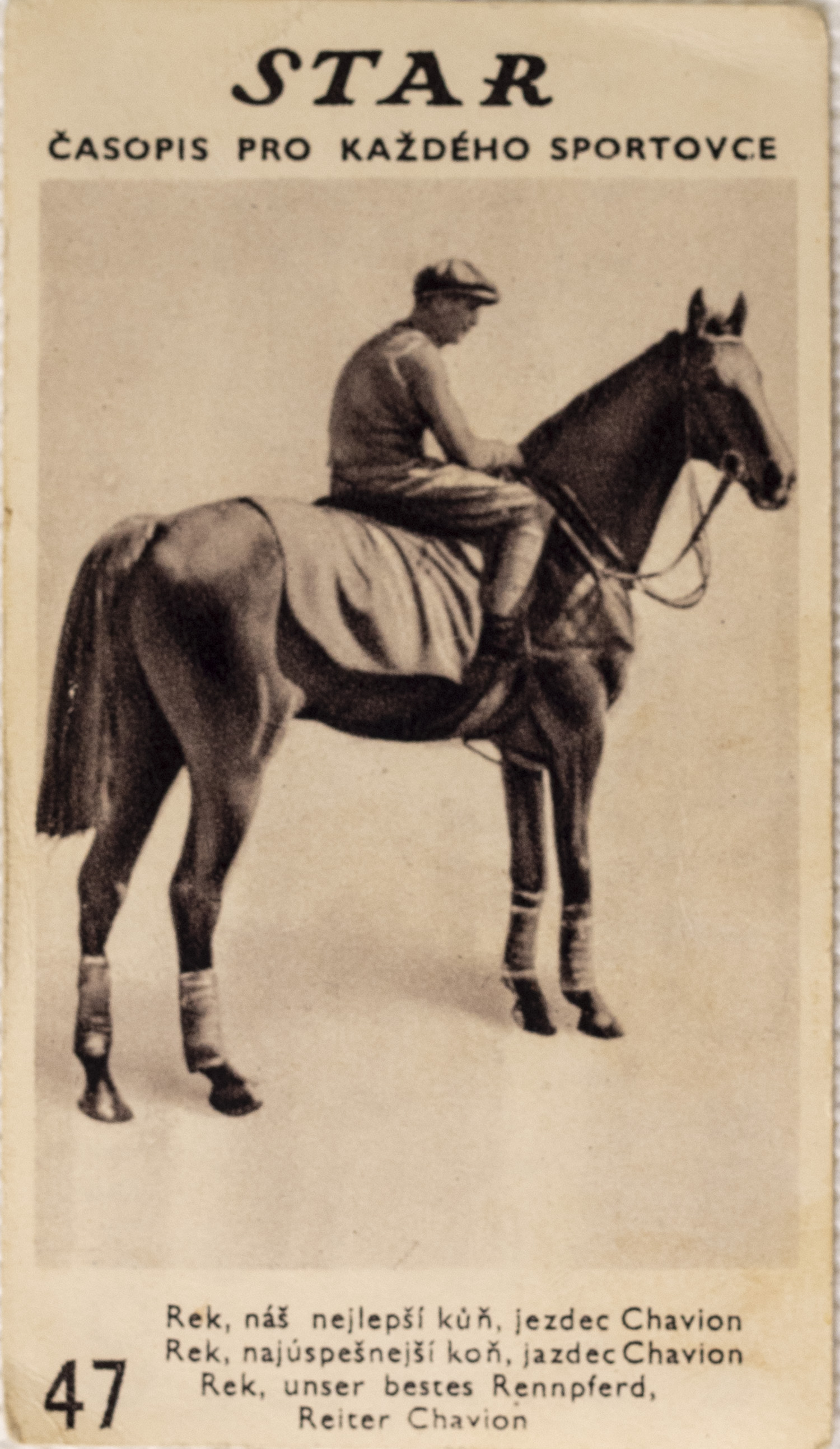 Kartička z časopisu STAR, 47, Rek, náš nejlepší kůň, jezdec Chavion