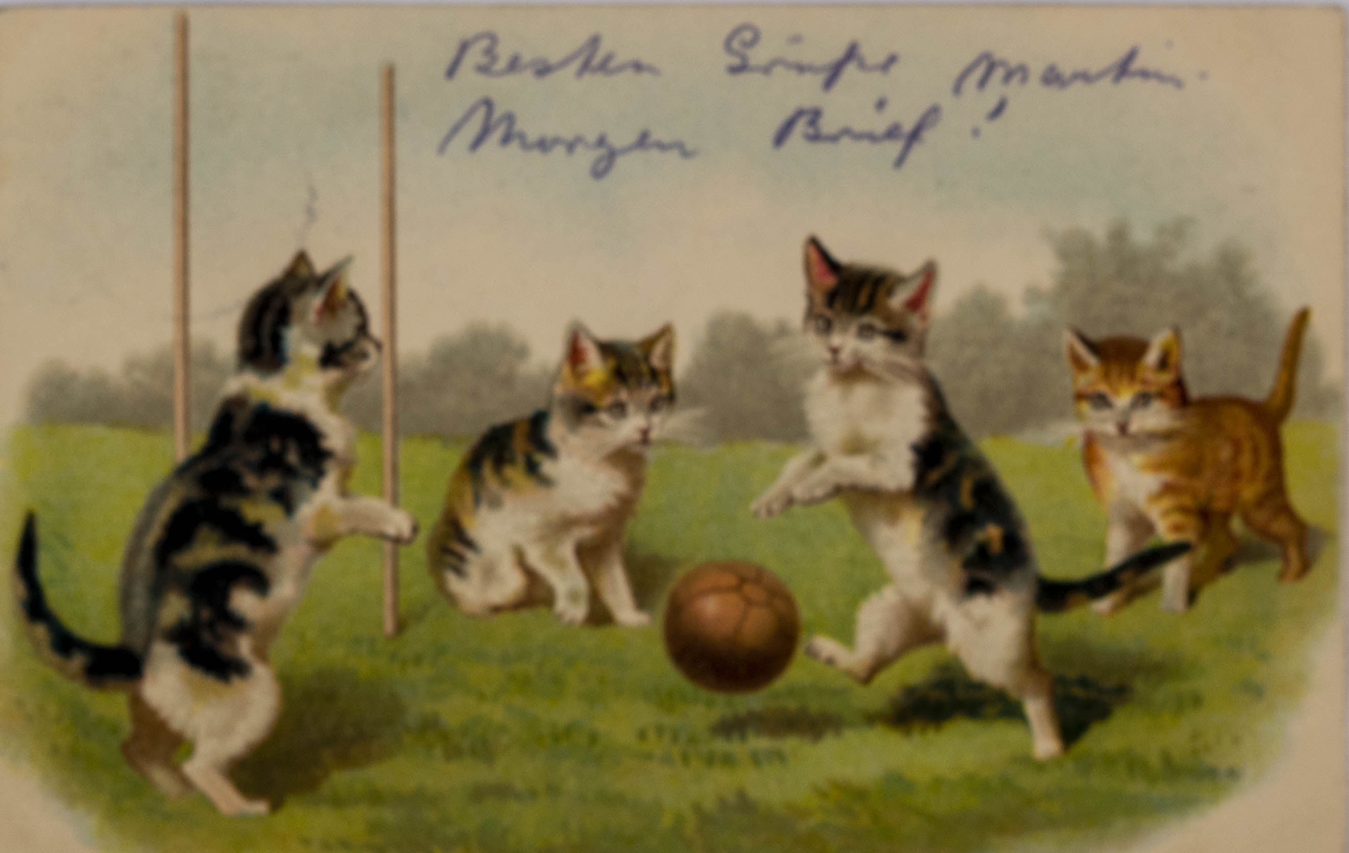 Pohlednice humor - fotbal - Futsballspiel, Katz, 1906