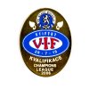 Odznak FK Ml. Boleslav, Kvalifikace Champions league 2006 (2)