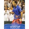 Podpisová karta, Star Team, Radek Štěpánek, Czech Davis Cup team