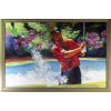 Obraz, Malcom Farley, Victory at the Masters, 2006 Autogram Tiger Woods (1)