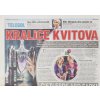 Noviny, Telgol, Sport, 2011, Kralice Kvitová (1)