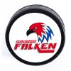 Puk Heilbronner Falken SK (1)