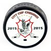 Puk City Cup Chrudim, 2015 1